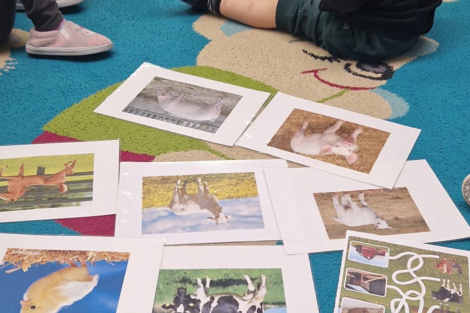 Dzieci oglądają ilustracje ze zwierzętami