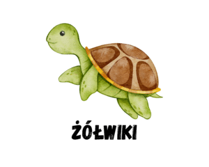Żółwiki